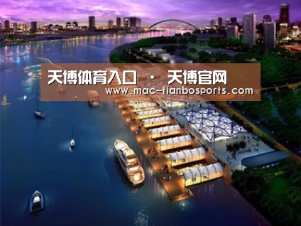 案例展示八