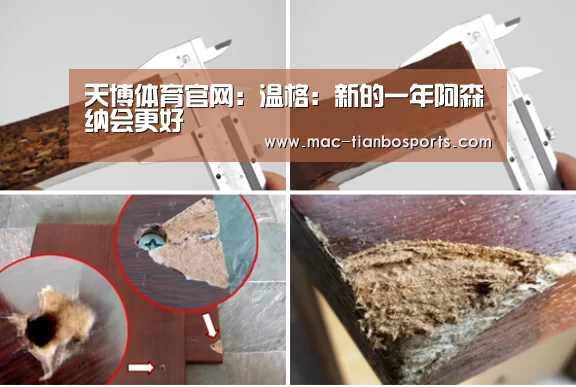 天博体育官网:温格:新的一年阿森纳会更好(图3) 天博体育赛事