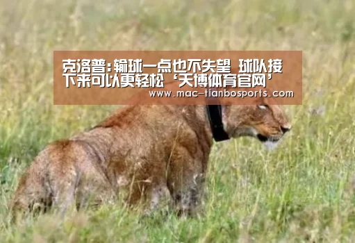 天博体育直播平台