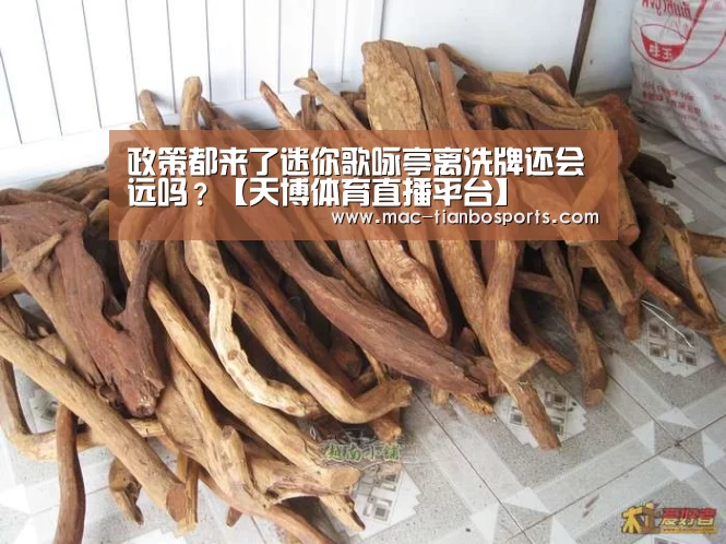 政策都来了迷你歌咏亭离洗牌还会远吗?【天博体育直播平台】(图1) 天博体育赛事