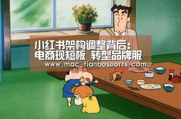 天博体育直播平台